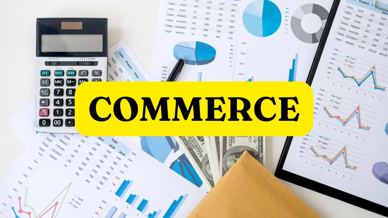 11th–12th Commerce + CA Foundation